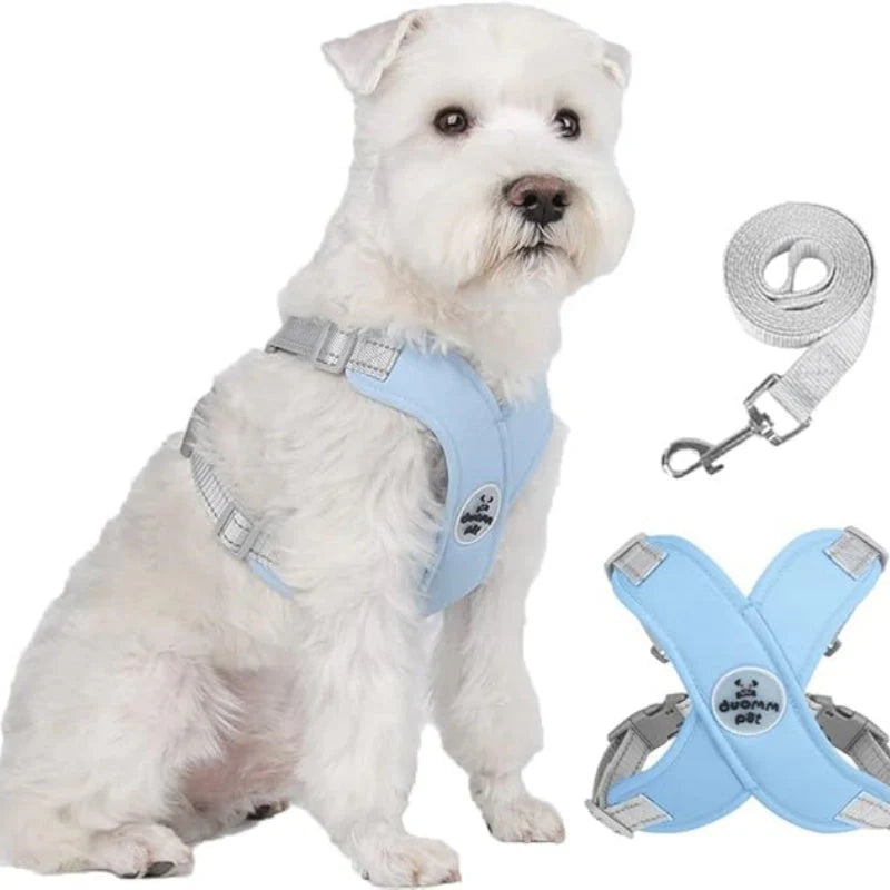 🐕 X-alakú fulladásmentes hám – egyenletesen osztja el a nyomást, hogy minden séta kényelmes és biztonságos legyen kistestű kutyád számára! 🦮