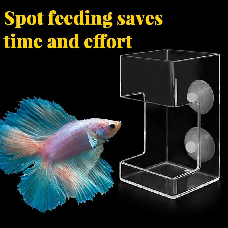 🐟 Akváriumi etetőgyűrű és etetőtál – Megakadályozza az eleség szétszóródását, tiszta víz, egészséges halak