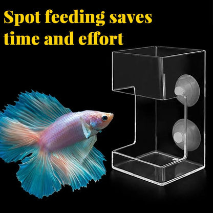 🐟 Akváriumi etetőgyűrű és etetőtál – Megakadályozza az eleség szétszóródását, tiszta víz, egészséges halak
