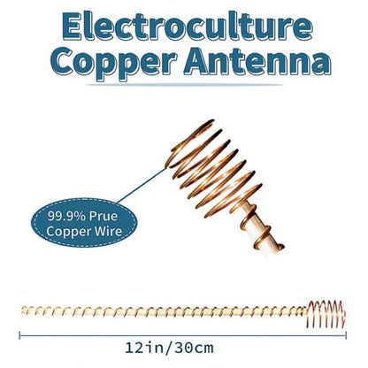 🔧 Elektrokultúrás rézantenna – 30 cm, fa nyél, növeli a termést, csökkenti a kártevőket