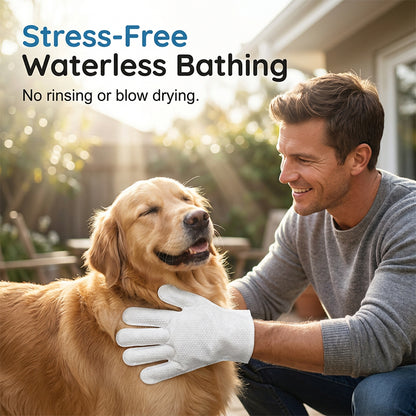 🛁 Fürdést utáló kedvenceknek – stresszmentes, víz nélküli tisztítás, ami masszázsként is hat! 😌