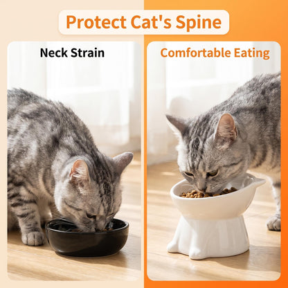 🥣 Műanyag nyakvédő macskaetető tál 🐱