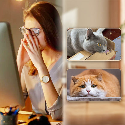 🐱 Interaktív rugós macska-ugró labda – Szórakoztatja, mozgatja, leköti kedvencét
