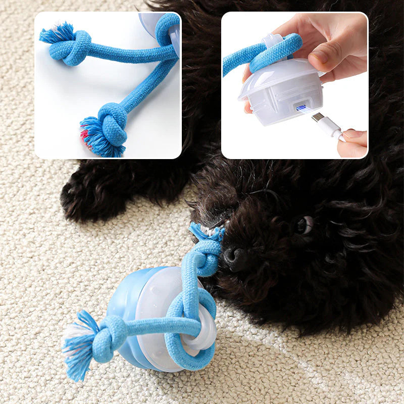 🧸 Okos hangaktivált kisállat-játék – Fogzássegítő + kék hangulatfény