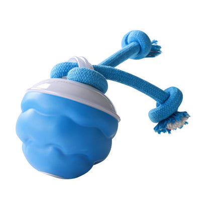 🧸 Okos hangaktivált kisállat-játék – Fogzássegítő + kék hangulatfény