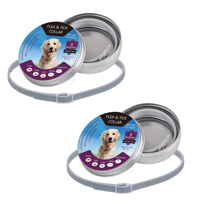📏 25 hüvelykes, állítható és vágható – minden kutyára tökéletesen illeszkedik, a chihuahuától a bernáthegyiig! Egy méret, minden fajta! 🐕