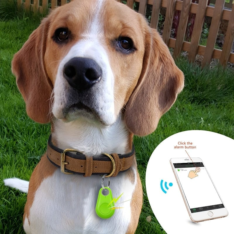 📱 Bluetooth háziállat-nyomkövető – Nincs havi díj, telefonkereső funkció, kameravezérlő – Kompatibilis iOS és Android rendszerrel