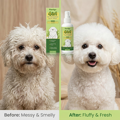 🐾 4 az 1-ben ápoló spray – tisztít, szagtalanít, fényesít és illatosít egyetlen permetben! Fürdés nélkül is tiszta és friss a kedvenced! ✨
