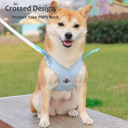 🐕 X-alakú fulladásmentes hám – egyenletesen osztja el a nyomást, hogy minden séta kényelmes és biztonságos legyen kistestű kutyád számára! 🦮