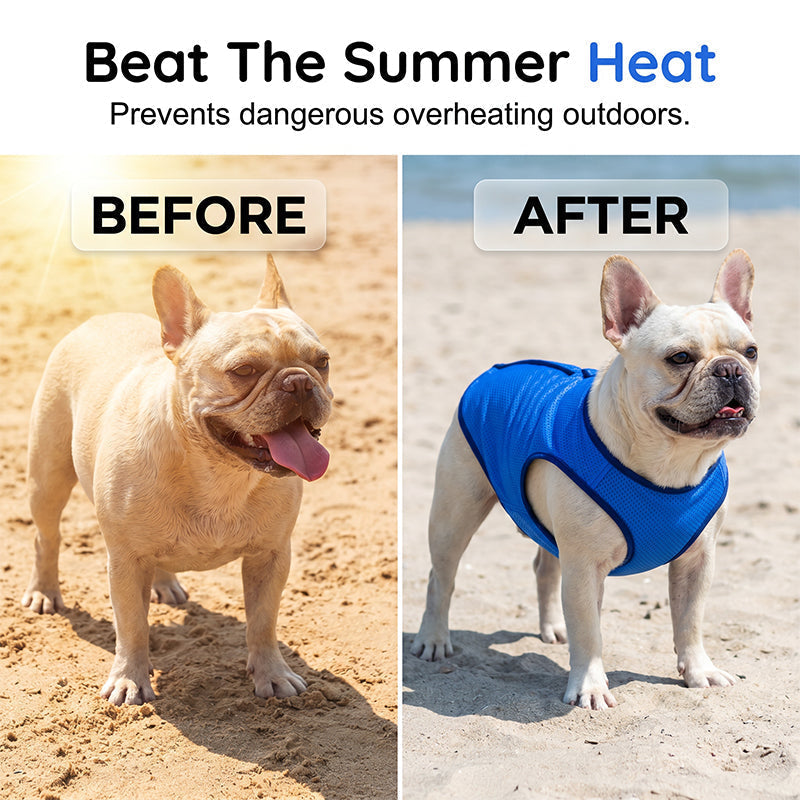 Lahka poletna jopica za pse | SUMMERCOOL